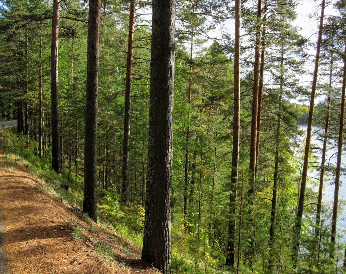 Вилла Pankkotupa Yrjo Пункахарью Экстерьер фото