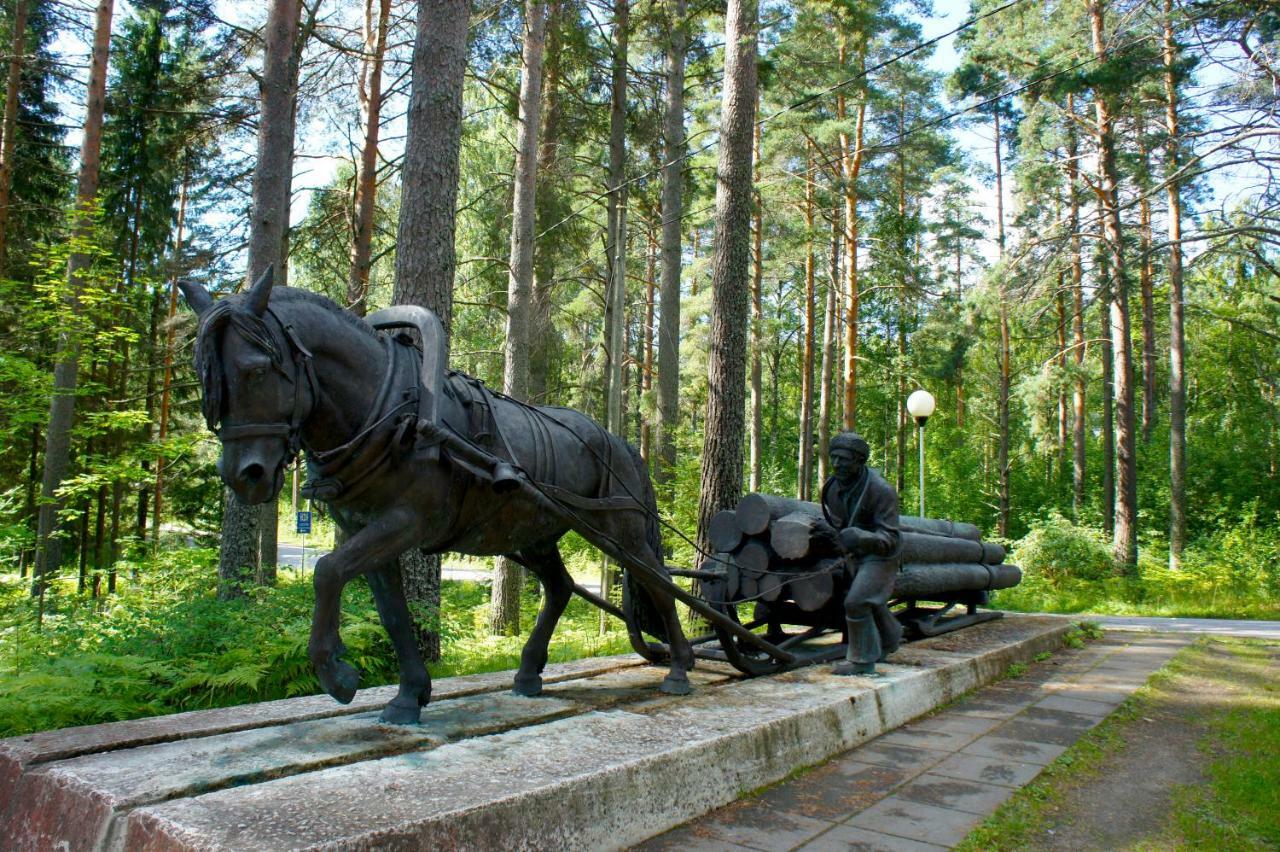 Вилла Pankkotupa Yrjo Пункахарью Экстерьер фото