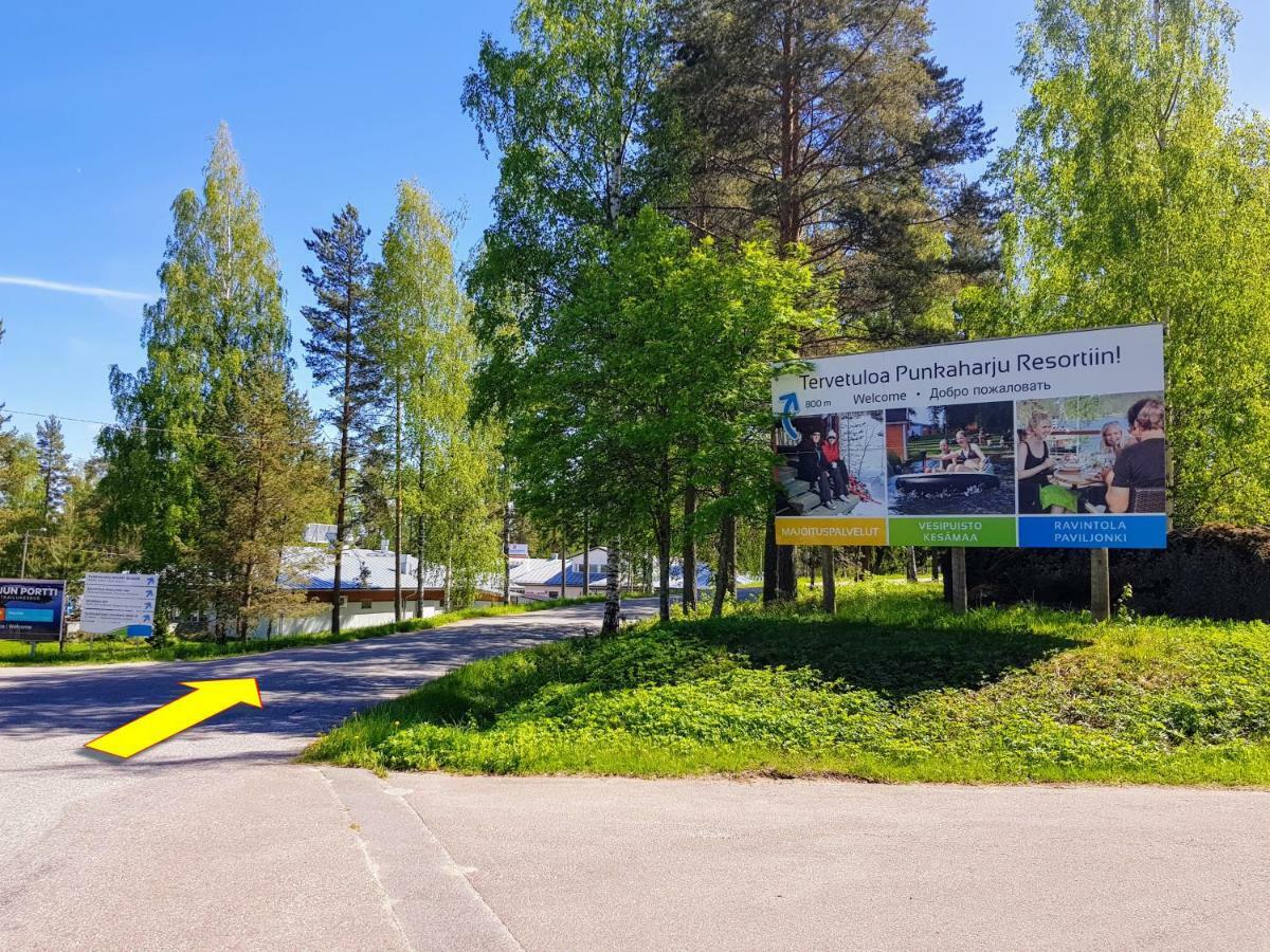 Вилла Pankkotupa Yrjo Пункахарью Экстерьер фото